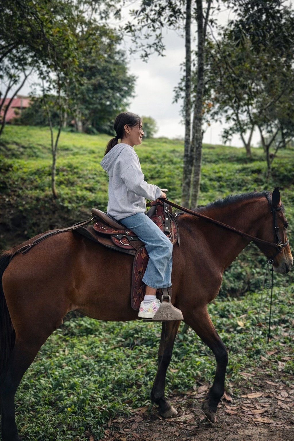 Paseo a caballo entre los paisajes verdes de Alejandría